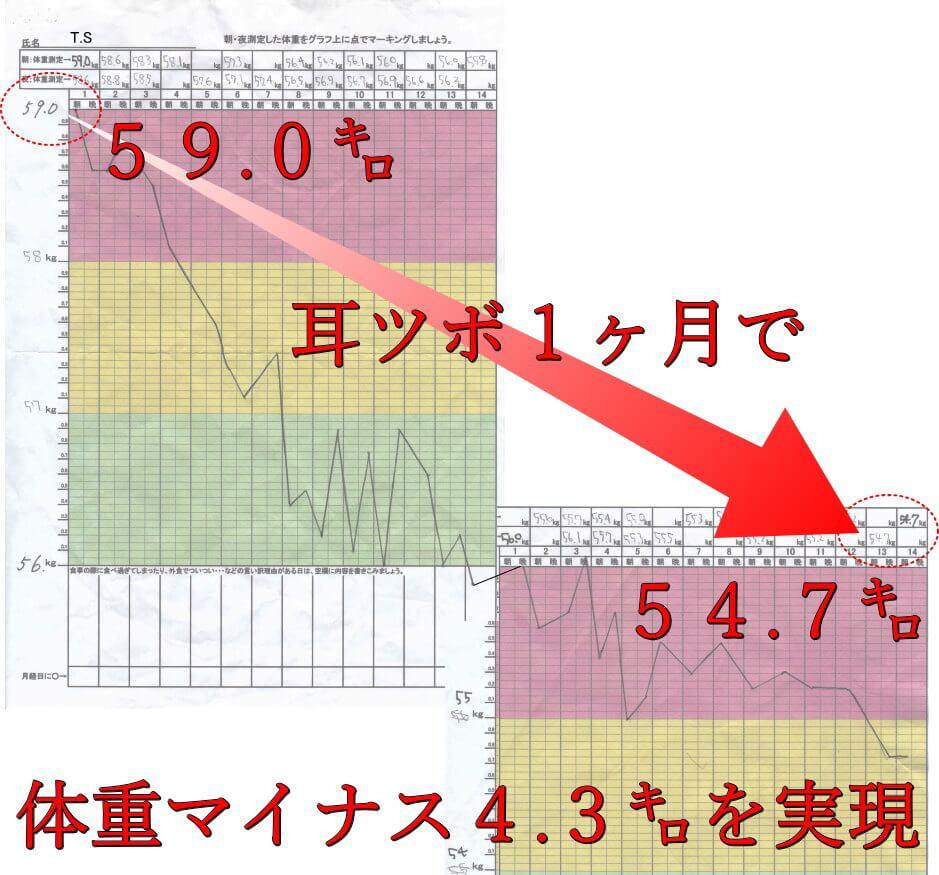 サプリメントなしの耳ツボ 名古屋で耳ツボなら長谷川亮 鍼灸院